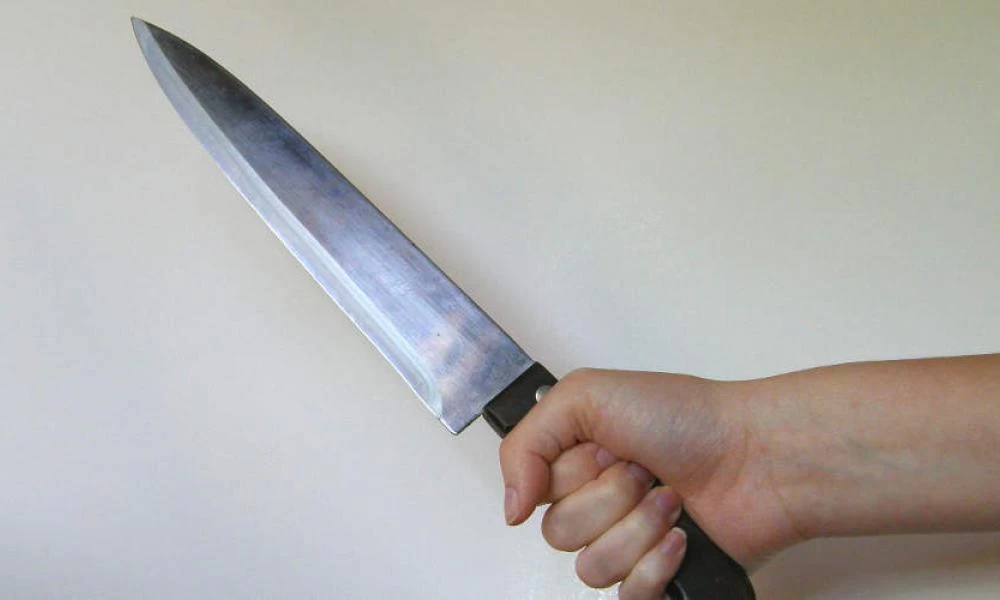 Ρωσία: Τεμάχισε τον σύντροφό της και τον κρατούσε στο ψυγείο